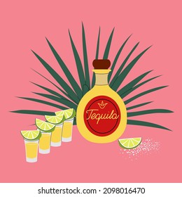 Vector illustration with bottle of tequila, shots with lime and salt, blue agave plant on a pink background. 