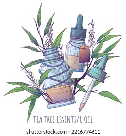 Vector illustration of bottles of essential oil, tea tree leaves. Glass bottle with dropper. Tea tree essential oil. Pipette. Cosmetic, perfumery, aromatherapy.