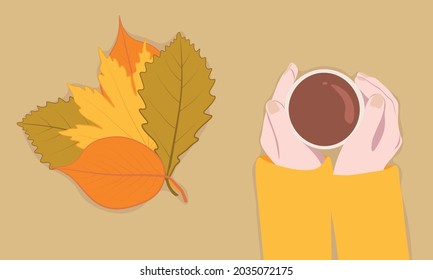 Vector illustration with a bouquet of autumn leaves and the hands of a girl with a cup of coffee. Flat illustration for backgrounds and banners. 