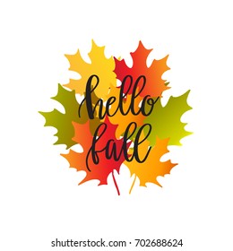 Vector illustration of bouquet of autumn maple leaves and text Hello Fall on white background