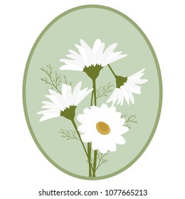 Vector illustration of a bouquet of chamomiles in a frame. Template for the design of postcard, cosmetic and medical product.