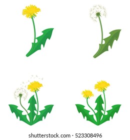 Vector illustration bouquet of dandelions with leaves. Summer flower collection, set. Yellow dandelion. Dandelion vector icon, logo. 