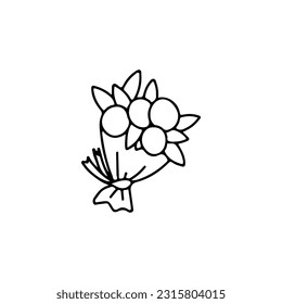 vector illustration of a bouquet of flowers