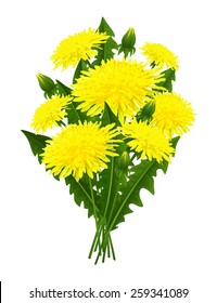 Vector illustration of a bouquet of flowers of dandelion on a white background