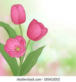 Vector illustration of a bouquet with flowers and leaves. Spring or summer card on defocus background