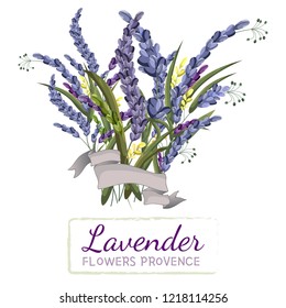 Vector illustration. Vector bouquet of lavender. Congratulatory tape. All elements are isolated.
