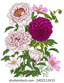 Vector illustration of a bouquet of peonies, dahlias and cosmos