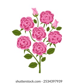 Vector illustration of a bouquet of pink roses, leaves, various plants, botany, and wildflowers. Summer flowers, ornamental. Flat design, cute vintage style, isolated on a white background.
