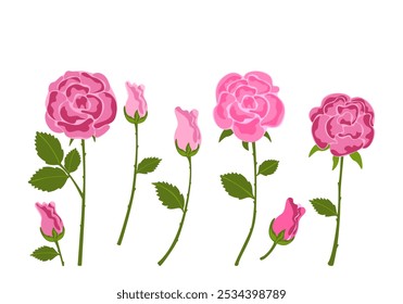 Ilustração vetorial de um buquê de rosas rosa, folhas, várias plantas, botânica e flores silvestres. Flores de verão, ornamentais. Design plano, estilo vintage bonito, isolado em um fundo branco.