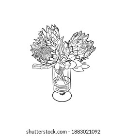 Flores dibujadas a mano en un jarrón, lino, lápiz, dibujo de tinta, sketch de ramos