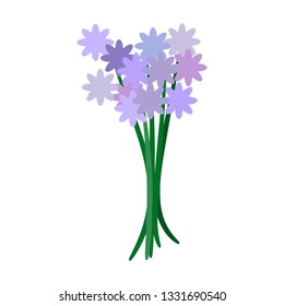 vector illustration, bouquet of spring violet flowers
