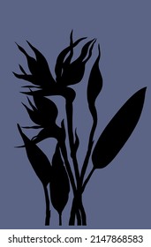 Vector illustration bouquet Strelitzia reginae silhouette isolated on blue. Flowering plant of South Africa, the so-called crane flower or bird of paradise