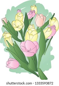 vector illustration bouquet of tulips 
