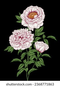 Vector illustration of a bouquet of white peonies - Shutterstock ID 2368771863
