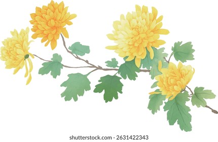 vector illustration bouquet of yellow chrysanthemum flowers on transparent background, Ideal for spring designs, wedding invitations, textile patterns, and nature-themed artworks.