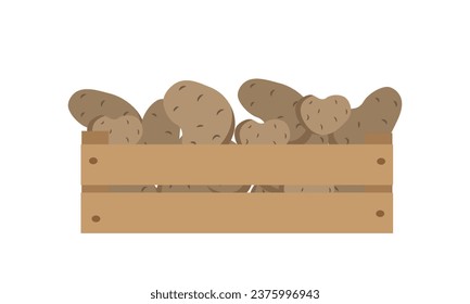 Vector illustration box with potatoes isolate on white , harvesting autumn vitamins, season vegetable ,healthy and tasty food, bio and eco. Illustration for different design uses .