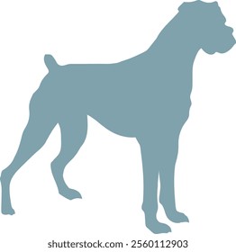 vector illustration of boxer dog