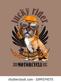 Vector illustration with Boxer Dog in a biker glasses and orange helmet on a beige background. Lucky rider - lettering quote. Inspiration poster, emblem design, hand drawn style t-shirt print.