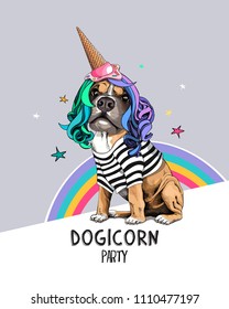 Vector illustration with Boxer Dog in a striped cardigan, color wig and in a ice cream party cap. Dogicorn party - lettering quote. Poster, hand drawn style t-shirt print.