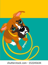 vector illustration of Boxer puppy with leash