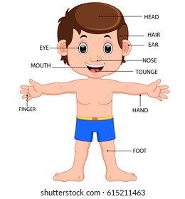 vector illustration of boy body parts diagram poster