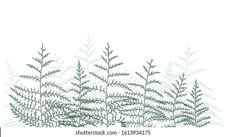 Vector illustration of bracken. Natural background, invitation card template with branches, leaf decoration.