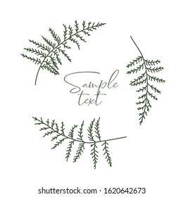 Vector illustration of bracken. Natural background, invitation card template with branches, leaf decoration.