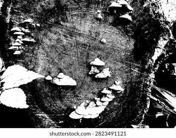 Vector illustration of bracket fungi mushrooms growing on old tree stump cross-section with wood rings texture in high contrast black stencil.