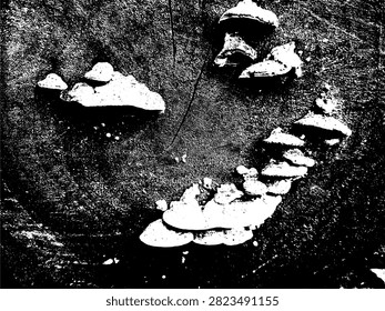 Vector illustration of bracket fungi mushrooms growing on old tree stump cross-section with wood rings texture in high contrast black stencil.