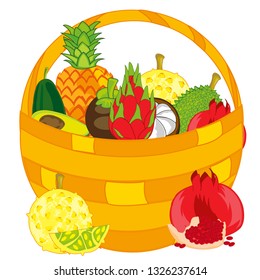 Vector illustration of the braided basket full exotic fruit
