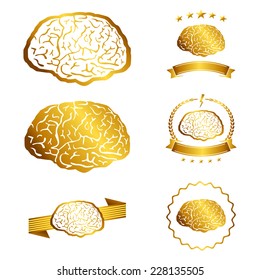 Vector illustration of brain design