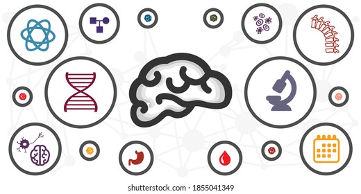 vector illustration of brain and different laboratory tool for clinical trials and neuroscience experiments