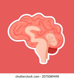 Ilustración vectorial del cerebro. Donante. El sistema nervioso central