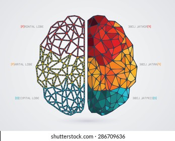 vector illustration of a brain icon