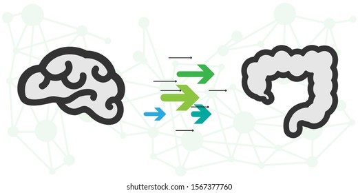 vector illustration of brain and intestine connection with arrows for mental health stress and immunity codependence