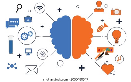Vector illustration of the brain. The left hemisphere is responsible for the logic and the right hemisphere for creativity. The isolated image on a white background.
