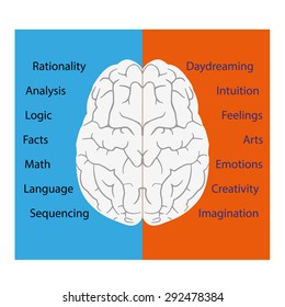 839 Left right side brain Images, Stock Photos & Vectors | Shutterstock