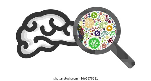 vector illustration of brain and magnifier with viruses and bacteria for inflammation and headaches visuals