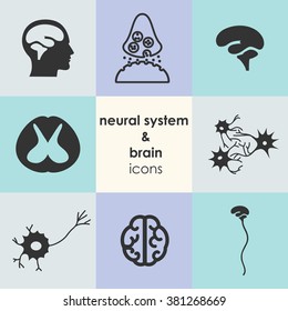 vector illustration / brain and neural system icons