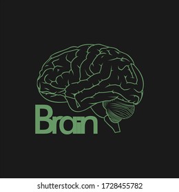 Ilustración vectorial del cerebro con diseño de concepto cerebral de contorno. bueno para la plantilla de diseño saludable del cerebro.