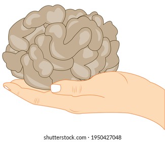 Ilustración vectorial del cerebro de la persona en la palma