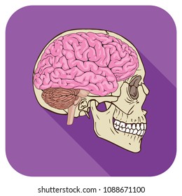 Vector illustration of Brainiac application icon purple