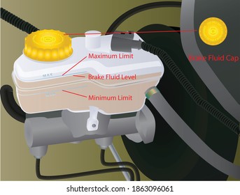 Vector Illustration of Brake Fluid Level Checking on Vehicle