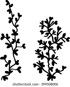 vector illustration branch