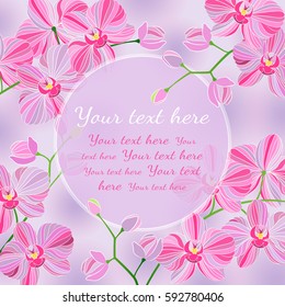 Vector illustration. Branch of beautiful pink Phalaenopsis orchids with a square frame for your text.