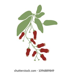 Vector illustration. Branch with berries. Can be used as romantic background for web pages, invitation design, greeting cards, postcards, textile design, packaging design, prints, pattern, wallpaper.