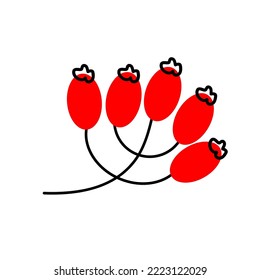 Vector illustration branch with berries. The berries in flat style isolated on white background. 