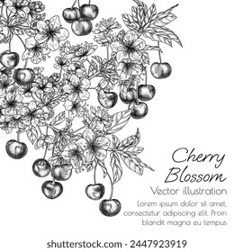 Ilustración vectorial de una rama de cereza y bayas en flor en estilo grabado