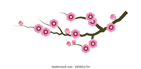 Vector illustration. Branch of cherry blossoms with beautiful flowers. Japanese sakura on white background. Place for your text. Design for invitation, banner, card, poster, flyer.