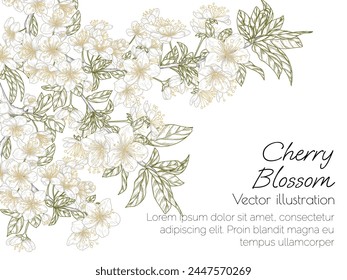 Vector illustration of a branch of cherry blossoms in engraving style